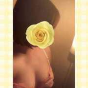 ヒメ日記 2026/03/03 05:56 投稿 みやび モアグループ入間人妻花壇