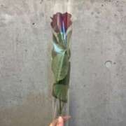 ヒメ日記 2025/05/02 22:54 投稿 つばさ あふたーすくーる本店