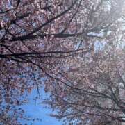 ヒメ日記 2025/05/03 14:30 投稿 りと どMばすたーず すすきの店