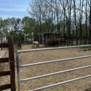 ヒメ日記 2025/05/13 09:50 投稿 りと どMばすたーず すすきの店