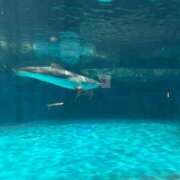 ヒメ日記 2025/06/27 08:26 投稿 りと どMばすたーず すすきの店