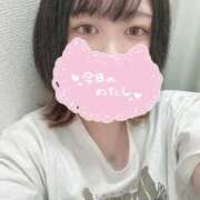 ヒメ日記 2025/07/08 09:39 投稿 りと どMばすたーず すすきの店