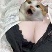 ヒメ日記 2025/09/23 22:39 投稿 りと どMばすたーず すすきの店