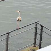 ヒメ日記 2025/04/25 14:55 投稿 さつき 熟女の風俗最終章 沼津店