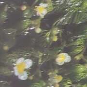 ヒメ日記 2025/04/30 09:28 投稿 さつき 熟女の風俗最終章 沼津店