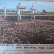 ヒメ日記 2025/05/02 08:28 投稿 さつき 熟女の風俗最終章 沼津店