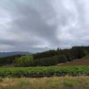 ヒメ日記 2025/05/02 09:08 投稿 さつき 熟女の風俗最終章 沼津店