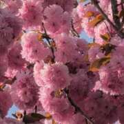 ヒメ日記 2025/05/06 16:08 投稿 さつき 熟女の風俗最終章 沼津店