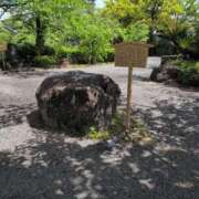 ヒメ日記 2025/05/07 18:58 投稿 さつき 熟女の風俗最終章 沼津店