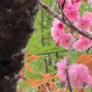 ヒメ日記 2025/05/13 07:18 投稿 さつき 熟女の風俗最終章 沼津店