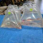 ヒメ日記 2025/05/13 23:38 投稿 さつき 熟女の風俗最終章 沼津店