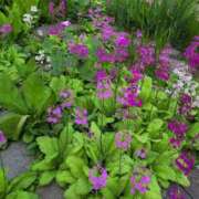 ヒメ日記 2025/05/14 17:38 投稿 さつき 熟女の風俗最終章 沼津店