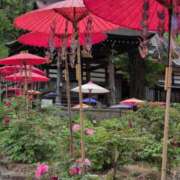 ヒメ日記 2025/05/15 17:38 投稿 さつき 熟女の風俗最終章 沼津店