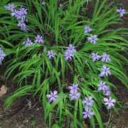 ヒメ日記 2025/05/15 17:59 投稿 さつき 熟女の風俗最終章 沼津店