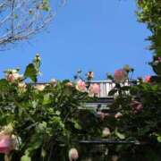 ヒメ日記 2025/05/16 23:49 投稿 さつき 熟女の風俗最終章 沼津店