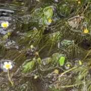 ヒメ日記 2025/05/19 21:58 投稿 さつき 熟女の風俗最終章 沼津店