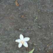 ヒメ日記 2025/05/20 08:08 投稿 さつき 熟女の風俗最終章 沼津店