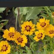 ヒメ日記 2025/05/20 21:03 投稿 さつき 熟女の風俗最終章 沼津店