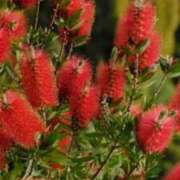 ヒメ日記 2025/05/23 09:28 投稿 さつき 熟女の風俗最終章 沼津店