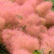 ヒメ日記 2025/05/23 10:48 投稿 さつき 熟女の風俗最終章 沼津店