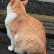 ヒメ日記 2025/05/25 08:18 投稿 さつき 熟女の風俗最終章 沼津店