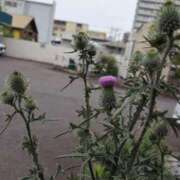 ヒメ日記 2025/05/25 21:38 投稿 さつき 熟女の風俗最終章 沼津店