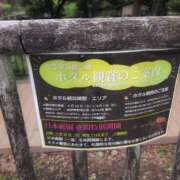 ヒメ日記 2025/05/26 07:06 投稿 さつき 熟女の風俗最終章 沼津店