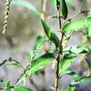 ヒメ日記 2025/05/27 13:04 投稿 さつき 熟女の風俗最終章 沼津店