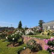 ヒメ日記 2025/05/28 14:08 投稿 さつき 熟女の風俗最終章 沼津店