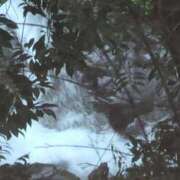 ヒメ日記 2025/06/03 07:28 投稿 さつき 熟女の風俗最終章 沼津店