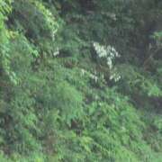 ヒメ日記 2025/06/04 07:48 投稿 さつき 熟女の風俗最終章 沼津店