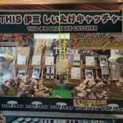 ヒメ日記 2025/06/04 13:13 投稿 さつき 熟女の風俗最終章 沼津店