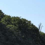 ヒメ日記 2025/06/04 16:18 投稿 さつき 熟女の風俗最終章 沼津店