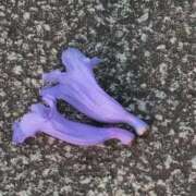 ヒメ日記 2025/06/06 07:08 投稿 さつき 熟女の風俗最終章 沼津店