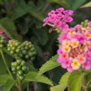 ヒメ日記 2025/06/07 12:08 投稿 さつき 熟女の風俗最終章 沼津店