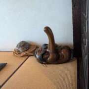 ヒメ日記 2025/06/11 07:08 投稿 さつき 熟女の風俗最終章 沼津店