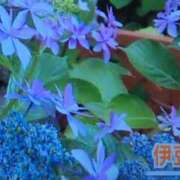 ヒメ日記 2025/06/12 10:38 投稿 さつき 熟女の風俗最終章 沼津店