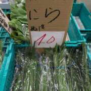 ヒメ日記 2025/06/12 17:28 投稿 さつき 熟女の風俗最終章 沼津店