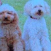 ヒメ日記 2025/06/13 08:48 投稿 さつき 熟女の風俗最終章 沼津店