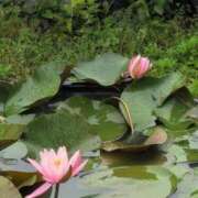 ヒメ日記 2025/06/13 14:58 投稿 さつき 熟女の風俗最終章 沼津店