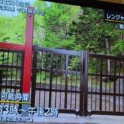 ヒメ日記 2025/06/14 06:48 投稿 さつき 熟女の風俗最終章 沼津店