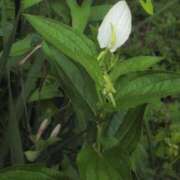 ヒメ日記 2025/06/15 17:48 投稿 さつき 熟女の風俗最終章 沼津店