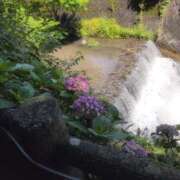 ヒメ日記 2025/06/16 01:58 投稿 さつき 熟女の風俗最終章 沼津店