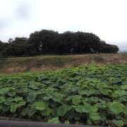 ヒメ日記 2025/06/16 08:08 投稿 さつき 熟女の風俗最終章 沼津店