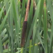 ヒメ日記 2025/06/16 08:48 投稿 さつき 熟女の風俗最終章 沼津店