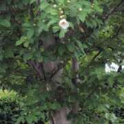 ヒメ日記 2025/06/16 18:52 投稿 さつき 熟女の風俗最終章 沼津店