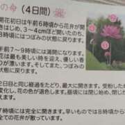 ヒメ日記 2025/06/17 19:48 投稿 さつき 熟女の風俗最終章 沼津店