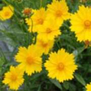 ヒメ日記 2025/06/18 16:58 投稿 さつき 熟女の風俗最終章 沼津店