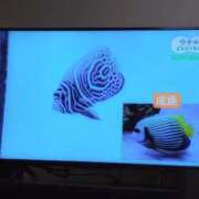 ヒメ日記 2025/06/18 17:08 投稿 さつき 熟女の風俗最終章 沼津店