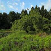 ヒメ日記 2025/06/19 07:58 投稿 さつき 熟女の風俗最終章 沼津店